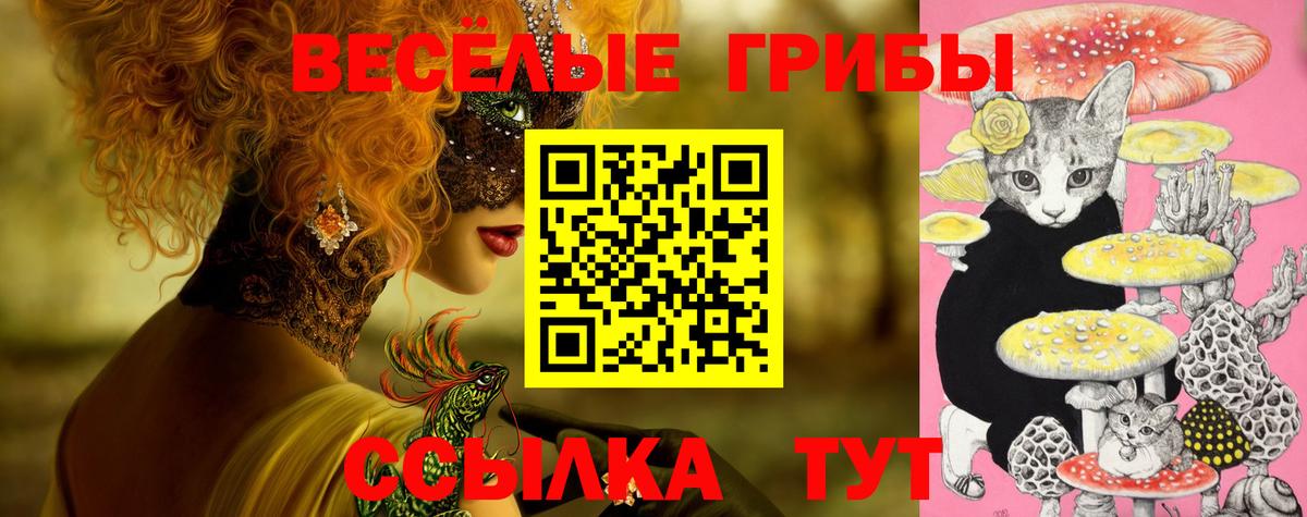 Галлюциногенные грибы Psilocybe  Вход с VPN  Тверь  Галлюциногенные грибы мицелий 
